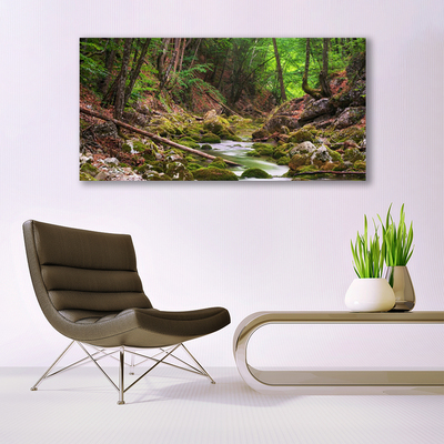 Quadro in vetro acrilico Foresta della natura del muschio