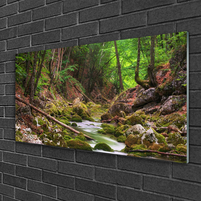 Quadro in vetro acrilico Foresta della natura del muschio