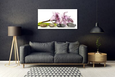 Quadro in vetro acrilico Pianta di pietre di fiori