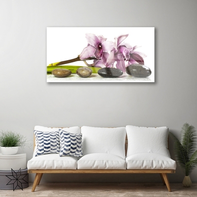 Quadro in vetro acrilico Pianta di pietre di fiori