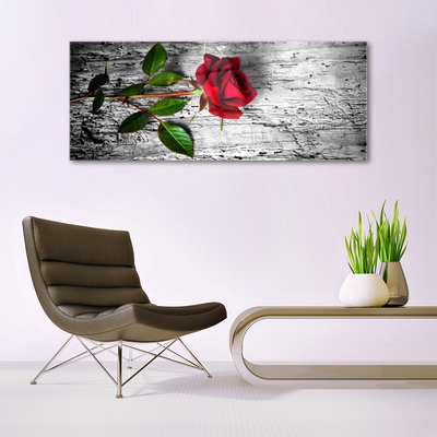 Quadro acrilico Natura della pianta del fiore della rosa