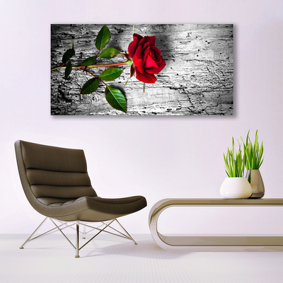 Quadro acrilico Natura della pianta del fiore della rosa