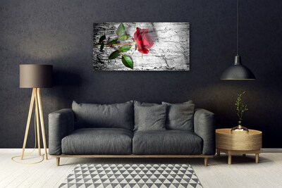 Quadro acrilico Natura della pianta del fiore della rosa