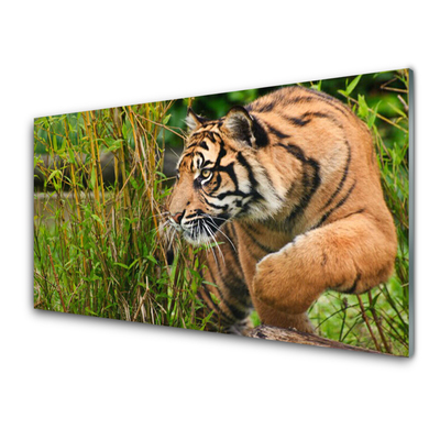 Quadro in vetro acrilico Animali tigre