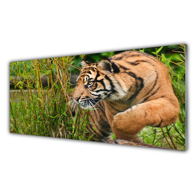 Quadro in vetro acrilico Animali tigre