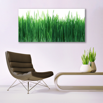 Quadro acrilico Erba Natura Pianta