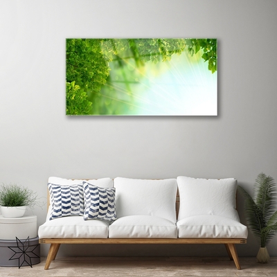 Quadro acrilico Foglie di piante naturali