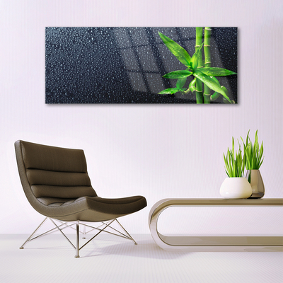 Quadro acrilico Bambù Stelo Pianta Natura