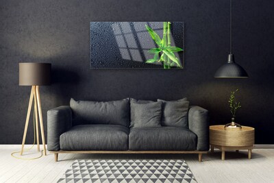 Quadro acrilico Bambù Stelo Pianta Natura