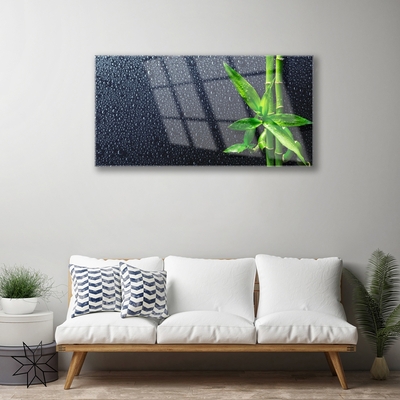 Quadro acrilico Bambù Stelo Pianta Natura