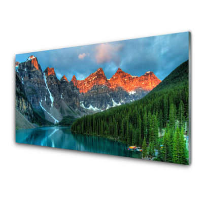 Quadro su vetro acrilico Paesaggio del lago della foresta di montagna