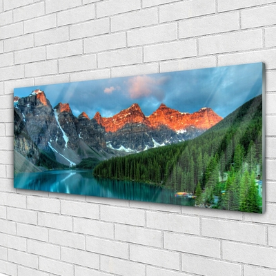 Quadro su vetro acrilico Paesaggio del lago della foresta di montagna