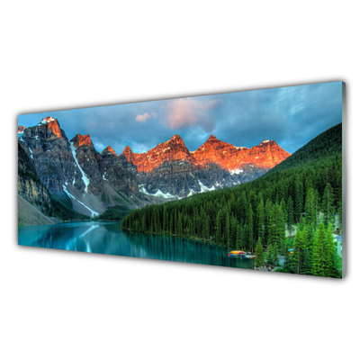 Quadro su vetro acrilico Paesaggio del lago della foresta di montagna