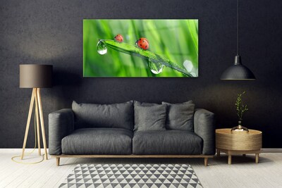 Quadro acrilico Coccinella Erba Gocce