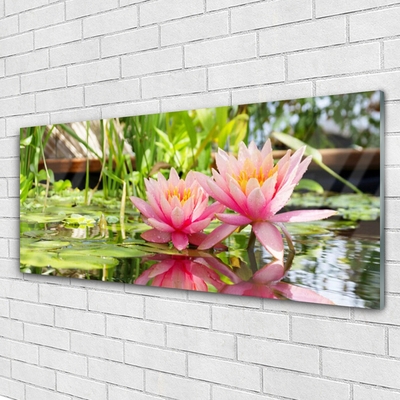 Quadro in vetro acrilico Fiori, piante, natura