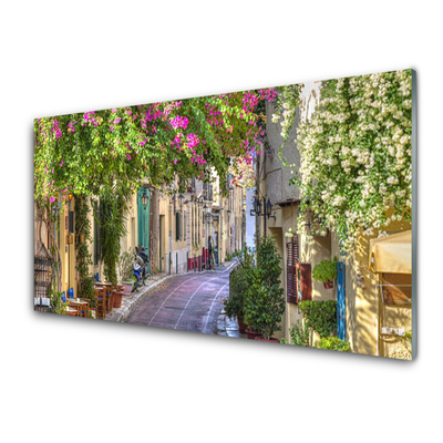 Quadro acrilico Vicolo. Fiori. Case