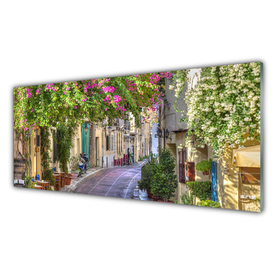 Quadro acrilico Vicolo. Fiori. Case