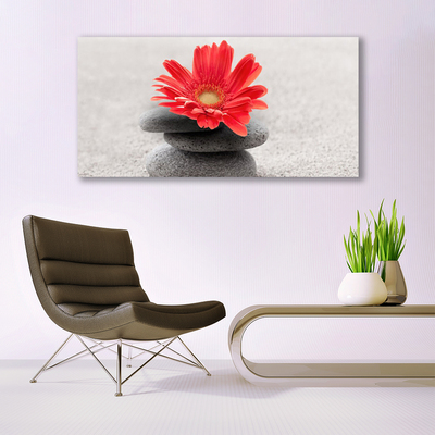 Quadro vetro acrilico Fiore di gerbera