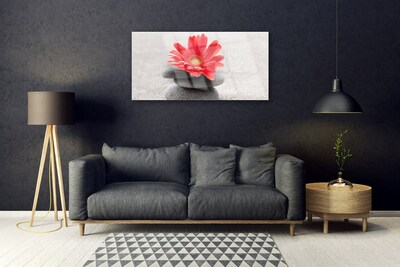 Quadro vetro acrilico Fiore di gerbera