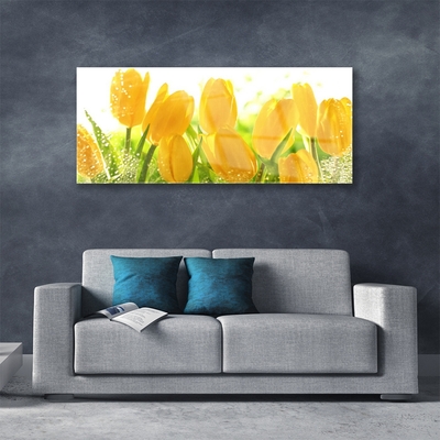 Quadro vetro acrilico Tulipani, fiori, piante