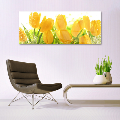 Quadro vetro acrilico Tulipani, fiori, piante