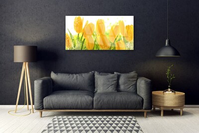 Quadro vetro acrilico Tulipani, fiori, piante