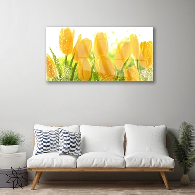 Quadro vetro acrilico Tulipani, fiori, piante