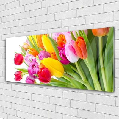 Quadro acrilico Tulipani, fiori, piante