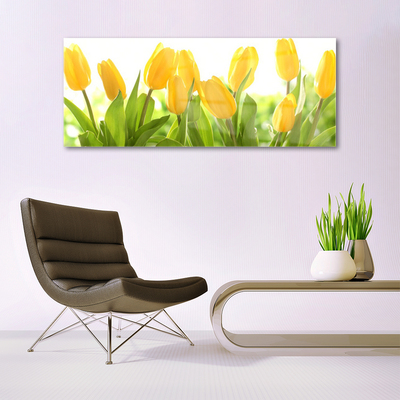 Quadro su vetro acrilico Tulipani, fiori, piante