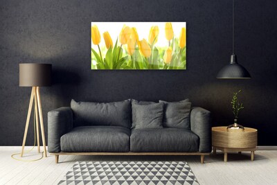 Quadro su vetro acrilico Tulipani, fiori, piante