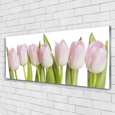 Quadro acrilico Tulipani, fiori, piante