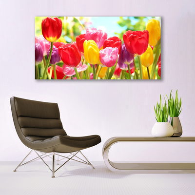 Quadro acrilico Tulipani, fiori, piante