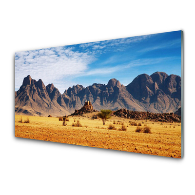 Quadro acrilico Paesaggio delle montagne del deserto