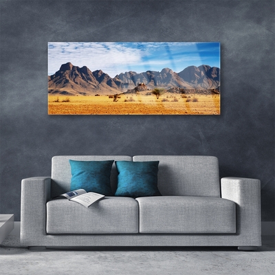 Quadro acrilico Paesaggio delle montagne del deserto