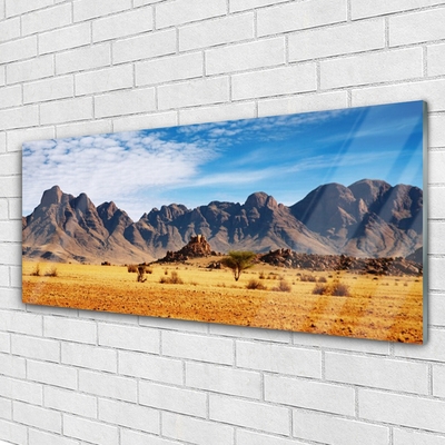 Quadro acrilico Paesaggio delle montagne del deserto