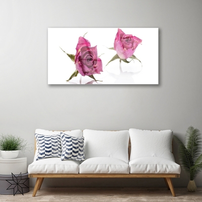 Quadro vetro acrilico Rose, fiori, piante