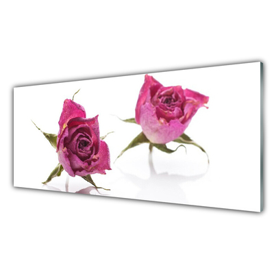 Quadro vetro acrilico Rose, fiori, piante