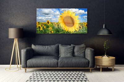 Quadro su vetro acrilico Pianta di fiori di girasole