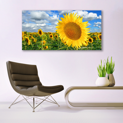 Quadro su vetro acrilico Pianta di fiori di girasole