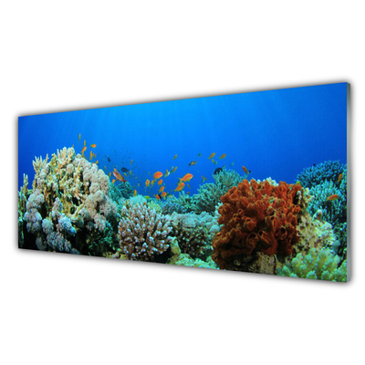 Quadro acrilico Natura della barriera corallina