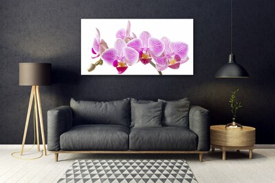 Quadro su vetro acrilico Fiori, piante, natura