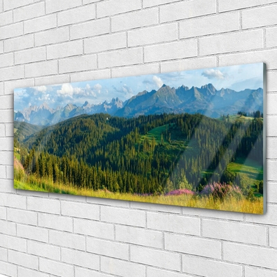 Quadro in vetro acrilico Natura della foresta di montagna