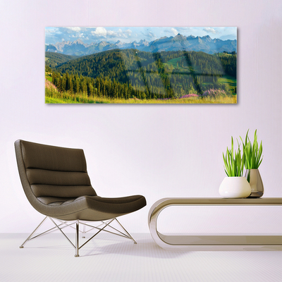 Quadro in vetro acrilico Natura della foresta di montagna