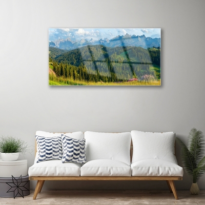 Quadro in vetro acrilico Natura della foresta di montagna