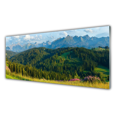 Quadro in vetro acrilico Natura della foresta di montagna