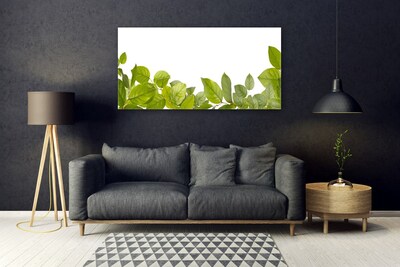 Quadro acrilico Foglie di piante naturali