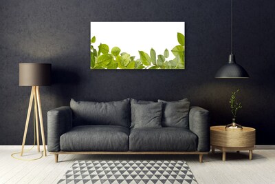 Quadro acrilico Foglie di piante naturali