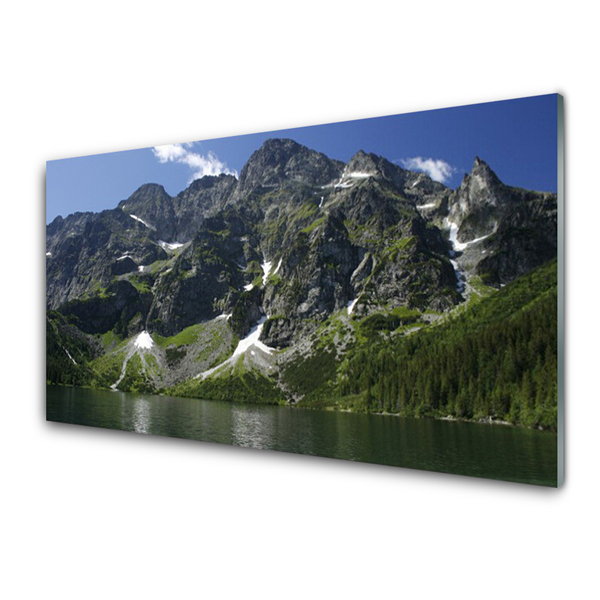 Quadro acrilico Montagna del paesaggio del lago della foresta