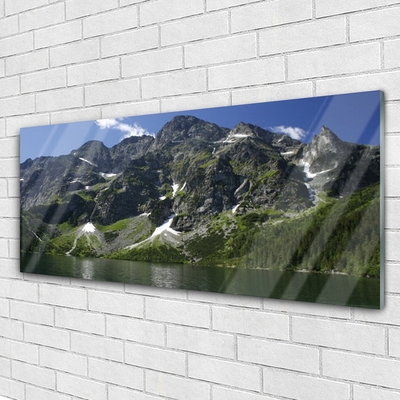 Quadro acrilico Montagna del paesaggio del lago della foresta