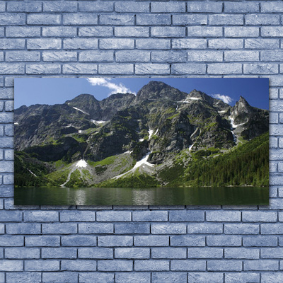 Quadro acrilico Montagna del paesaggio del lago della foresta